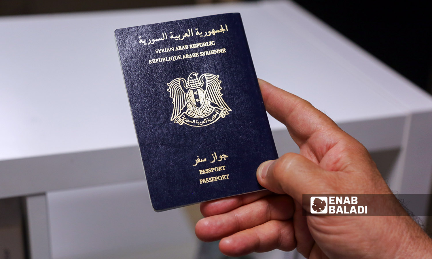 جواز سفر سوري (تعبيرية/ عنب بلدي)