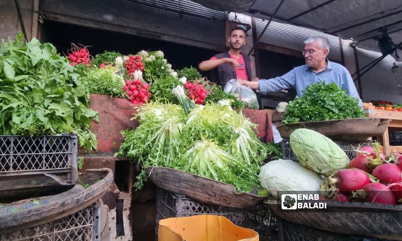 خضروات في سوق مدينة إدلب شمال غربي سوريا _ 25 من تشرين الأول 2023 (عنب بلدي/ أنس الخولي)