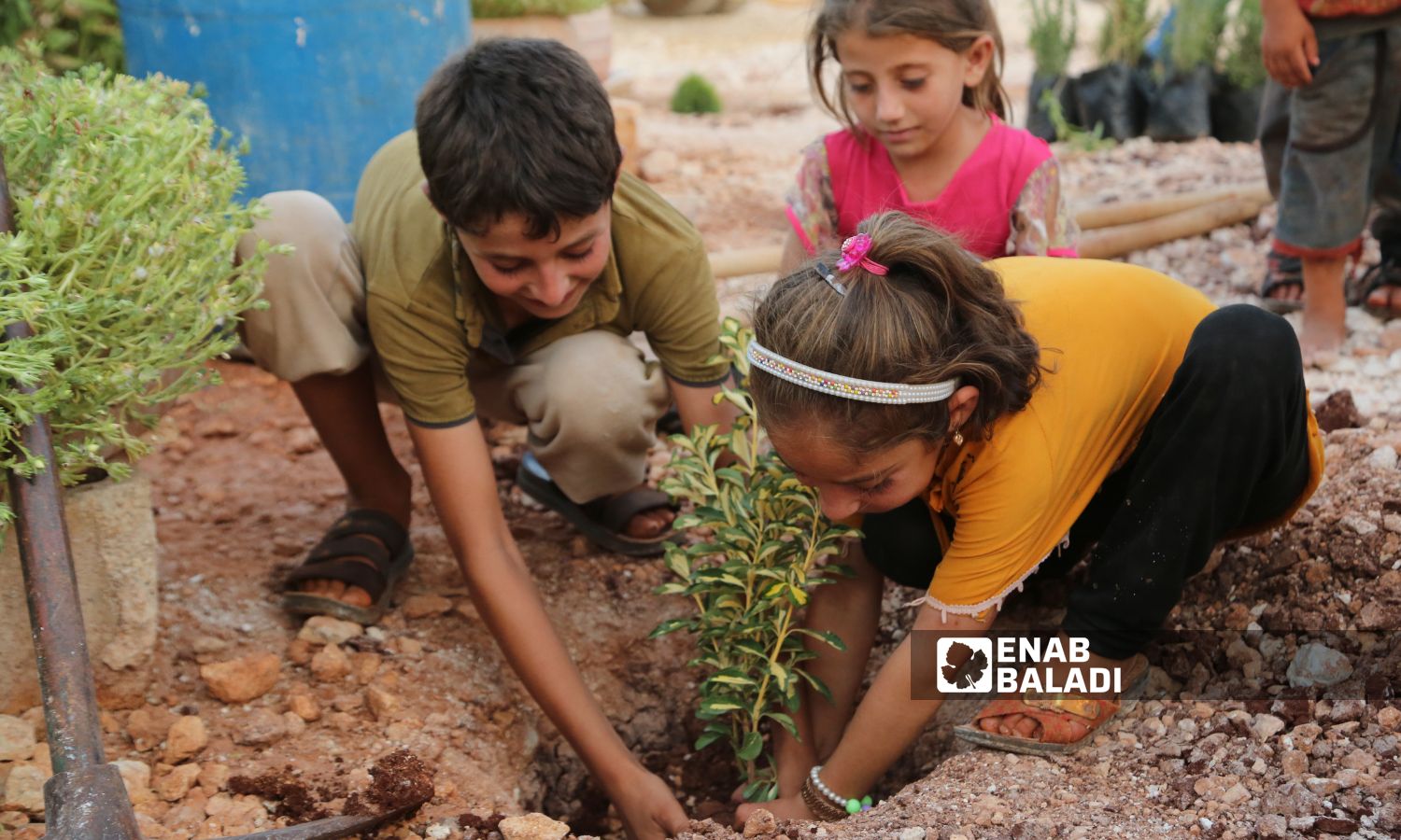 أطفال يزرعون أشجارًا في إدلب شمال غربي سوريا- 28 من تشرين الأول 2023 (عنب بلدي/ أنس الخولي)