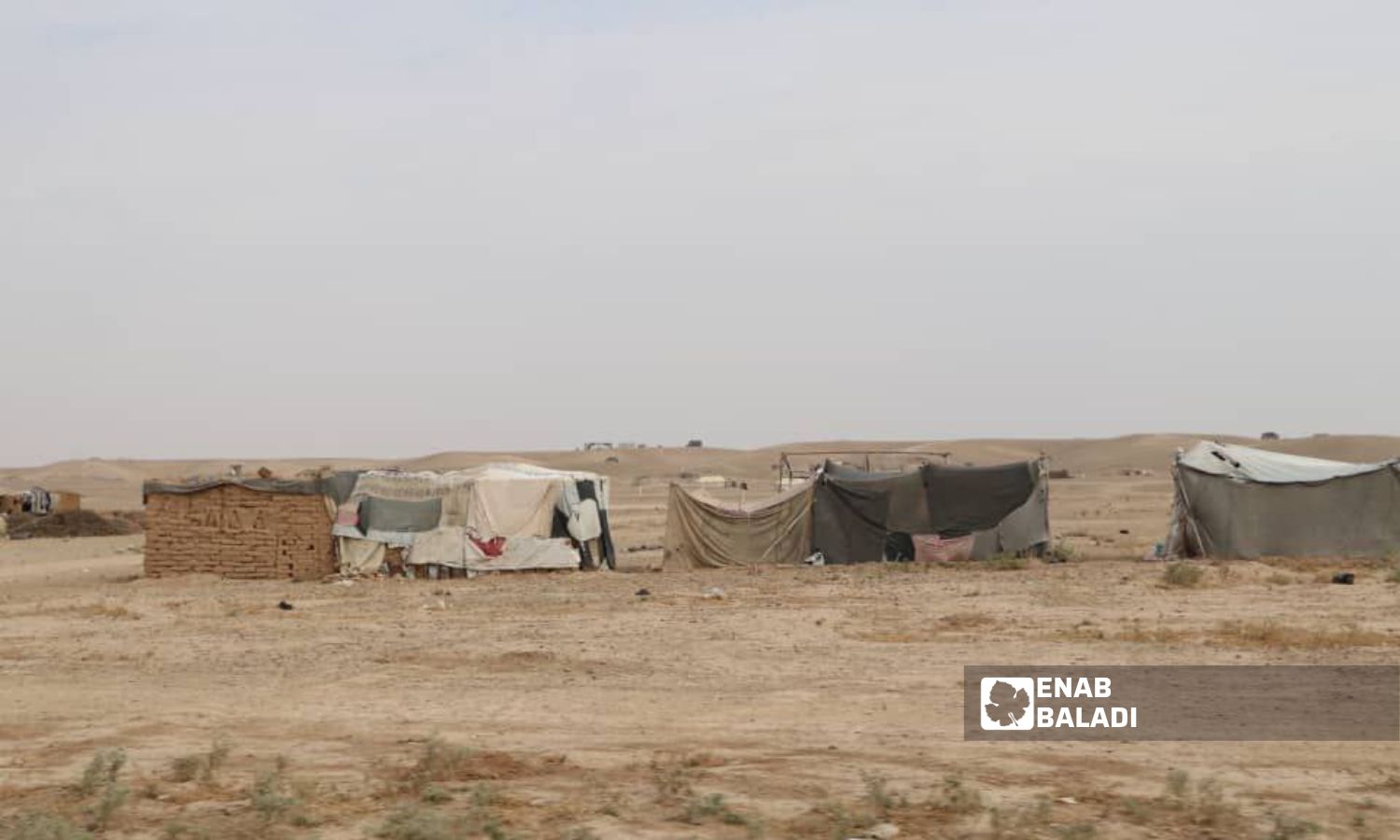 مخيمات النازحين غربي دير الزور- 29 تشرين الثاني (عنب بلدي /عبادة الشيخ)