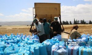 حصاد القمح في أراضي سهل الروج جنوبي إدلب - 4 من حزيران 2023 (عنب بلدي/ إياد عبد الجواد)
