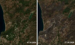 صورة من الأقمار الصناعية لحالة فقدان الغابات غرب سوريا (CEOBS/ تعديل عنب بلدي)
