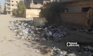 أهالي مدينة دير الزور يشتكون من تكوم القمامة في الأحياء - 22 تشرين الثاني 2023 (خاص عنب بلدي)
