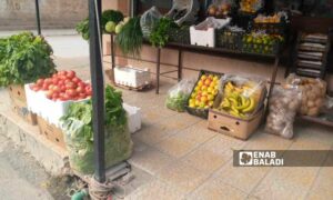 محل لبيع الخضروات في شارع عامودا بمدينة القامشلي شرقي الحسكة- 5 من تشرين الثاني 2023 (عنب بلدي/ ريتا الأحمد)

