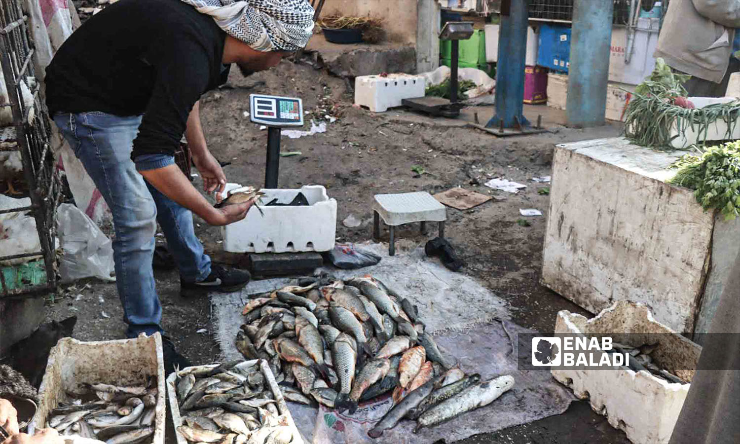 بائع سمك في السوق الشعبي بريف دير الزور شرقي سوريا - 5 من كانون الثاني 2023 (عنب بلدي/عبادة الشيخ)