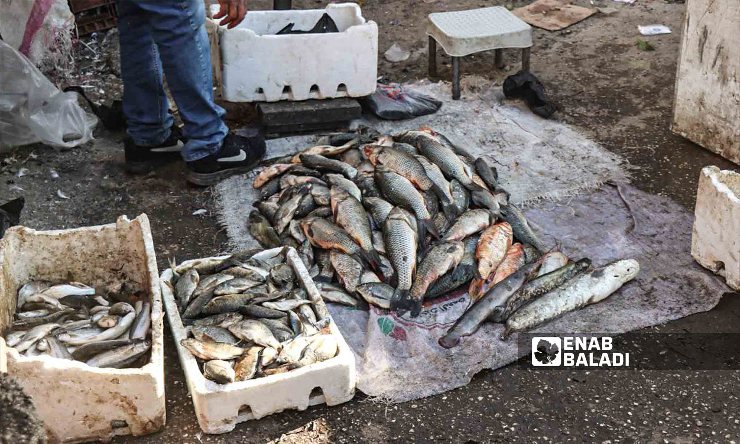 بائع سمك في السوق شعبي بريف دير الزور شرقي سوريا - 5 من كانون الثاني 2023 (عنب بلدي/عبادة الشيخ)