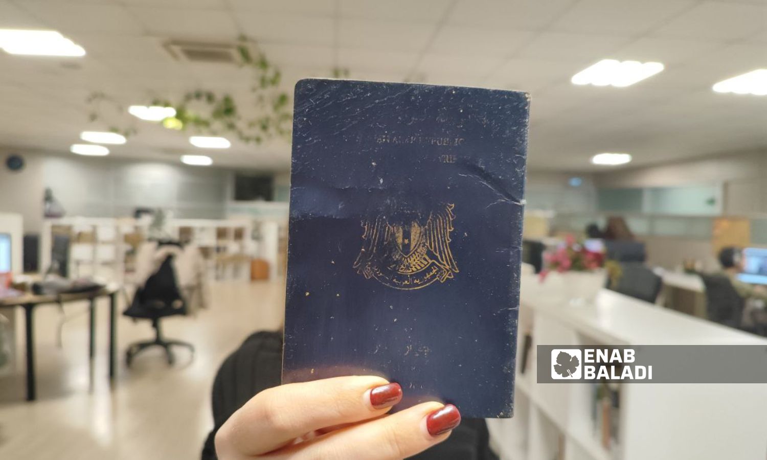 غلاف جواز سفري سوري- 22 من كانون الأول 2023 (عنب بلدي)