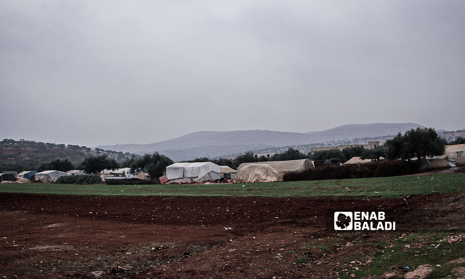 مخيم فقراء الله بحربنوش في ريف إدلب شمالي سوريا -22 تشرين الثاني 2023 (عنب بلدي/إياد عبد الجواد)