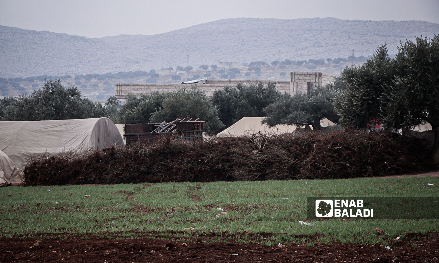 تجفيف الحشائش للتدفئة في مخيم فقراء الله بحربنوش في ريف إدلب شمالي سوريا -22 تشرين الثاني 2023 (عنب بلدي/إياد عبد الجواد)