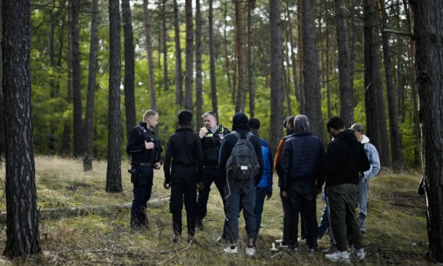 ضباط شرطة يتعقبون مجموعة من المهاجرين الذين عبروا الحدود بشكل "غير قانوني" من بولندا إلى ألمانيا_11 من كانون الأول 2023(AP)
