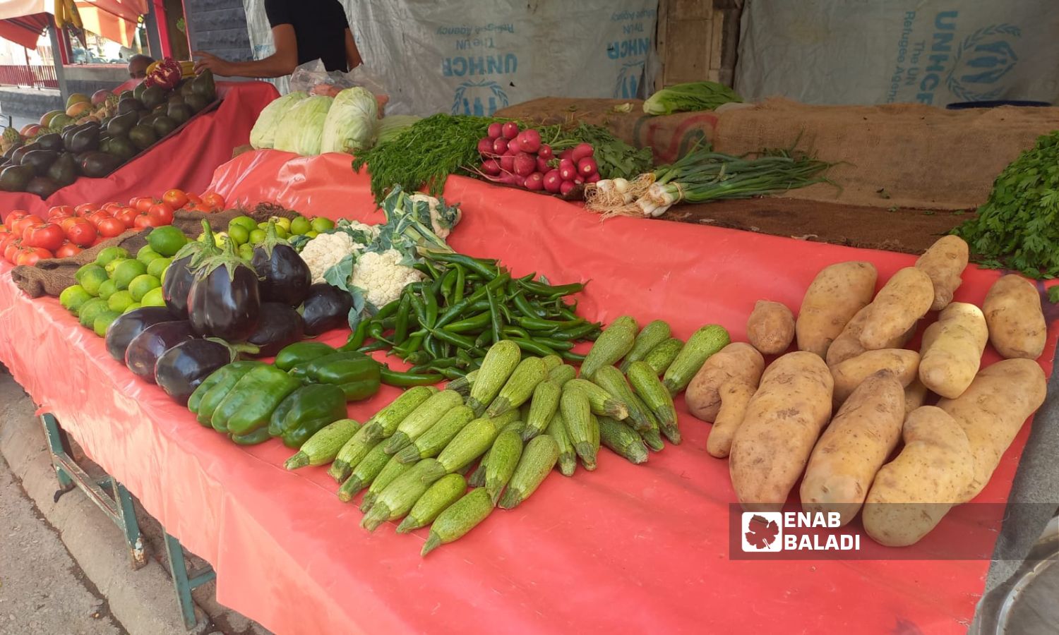 سوق الخضار الرئيسي في حي الكاشف بمدينة درعا 23 تشرين الأول 2023 (عنب بلدي/ سارة الأحمد)