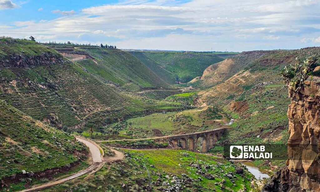 جسر قطار الحجاز في وادي تل شهاب غربي مدينة درعا - 15 كانون الثاني 2024 (عنب بلدي- سارة الأحمد)