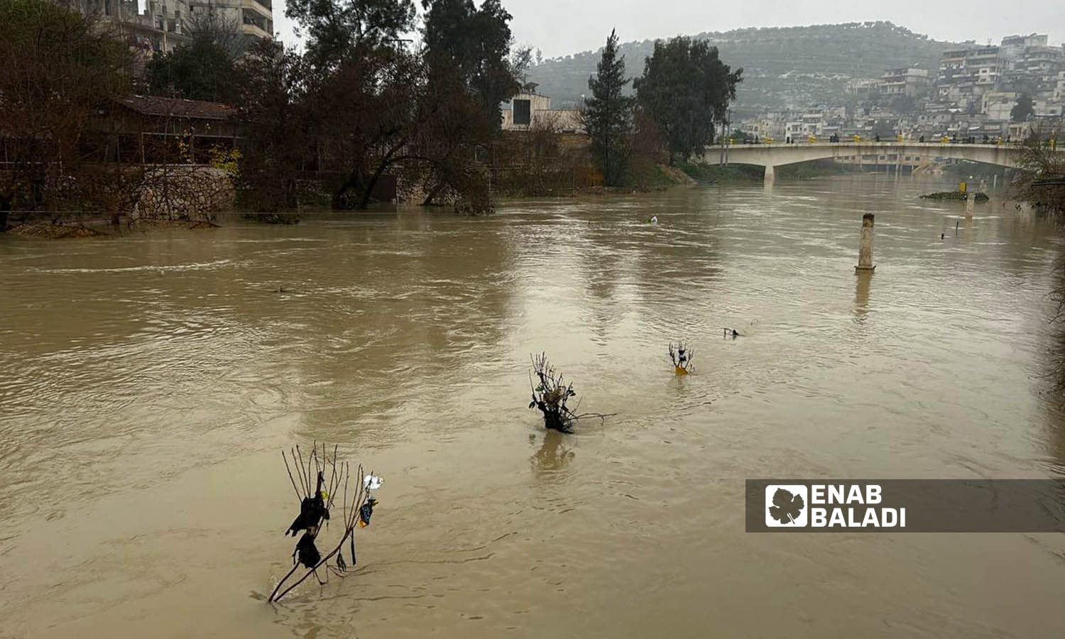 ارتفاع منسوب مياه نهر العاصي بسبب هطولات الأمطار في دركوش بريف إدلب- 18 من كانون الثاني 2024 (عنب بلدي/ محمد نعسان دبل)