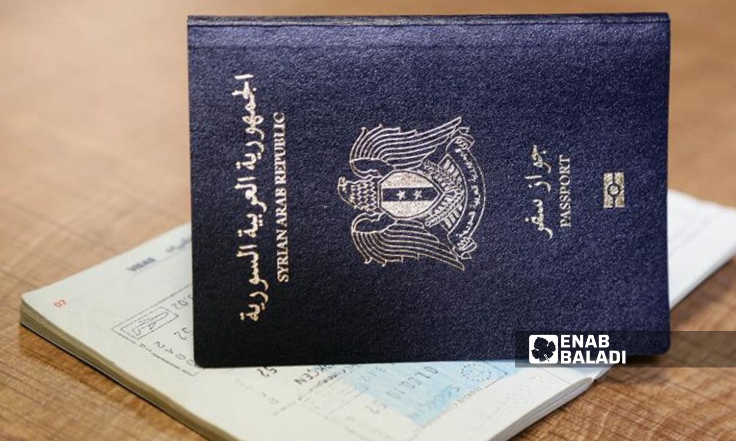جواز السفر السوري الإلكتروني- 8 من كانون الثاني 2024 (عنب بلدي)