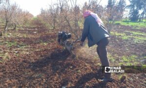 مزارع يحرث أرضه في ريف درعا الغربي- 11 من آذار 2023 (عنب بلدي)