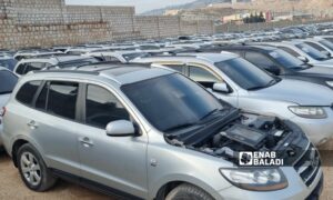 سيارات معروضة للبيع في سرمدا شمالي إدلب – 29 من كانون الثاني 2024 (عنب بلدي/ أنس الخولي)

