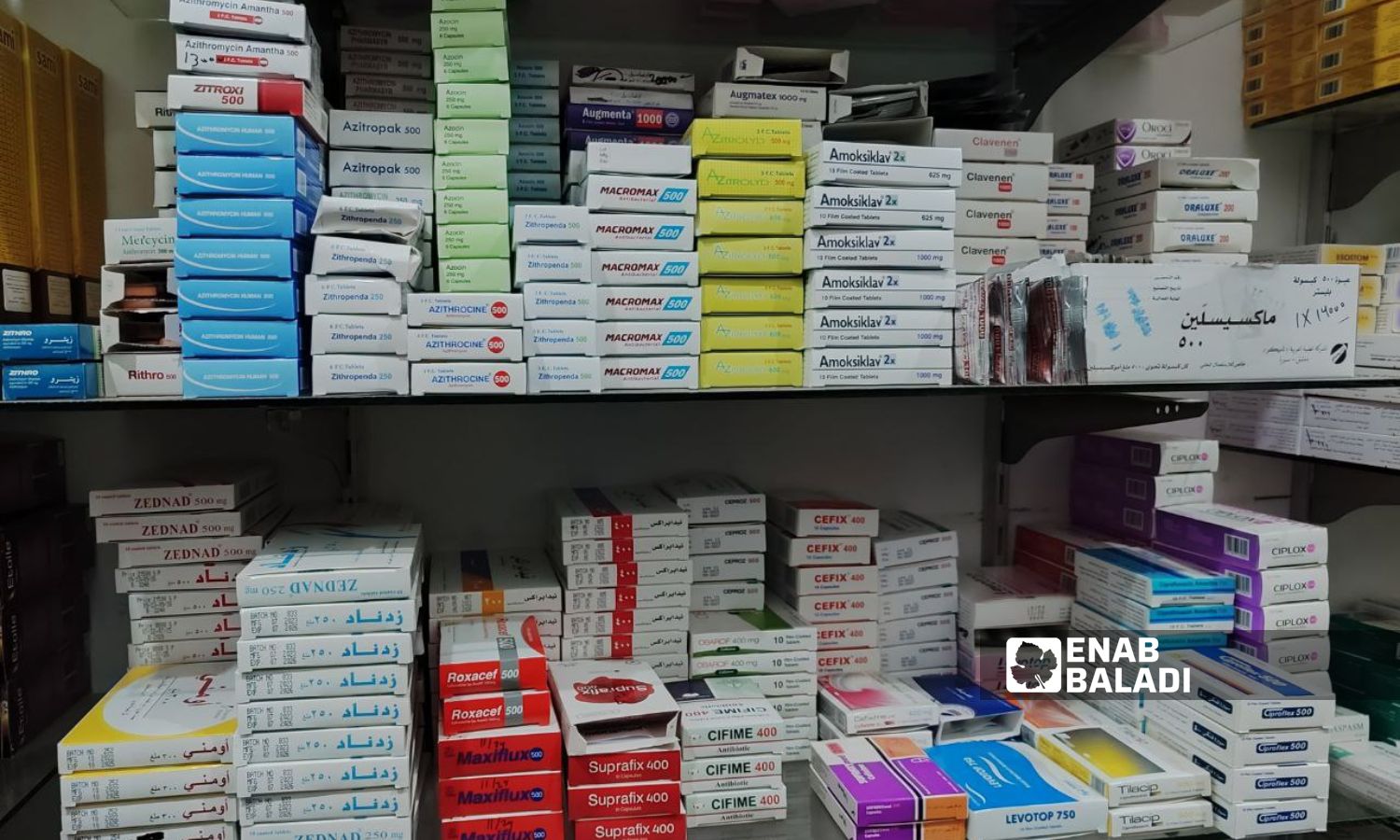 أدوية داخل صيدلية في مدينة اللاذقية – 26 من كانون الثاني 2024 (عنب بلدي/ ليندا علي)