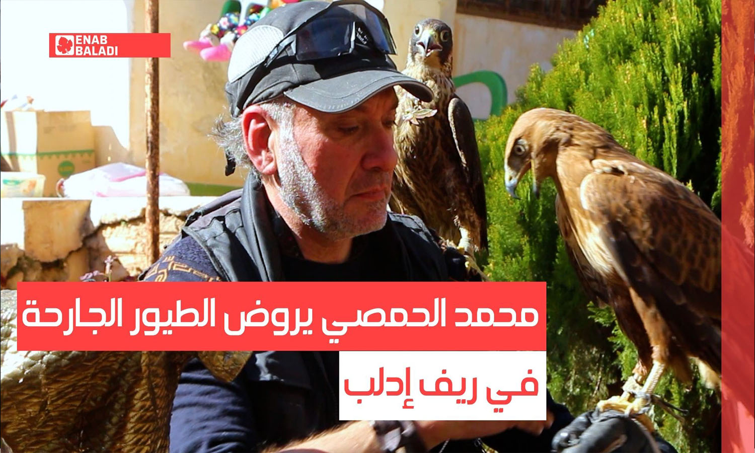 محمد الحمصي يروض الطيور الجارحة في ريف إدلب
