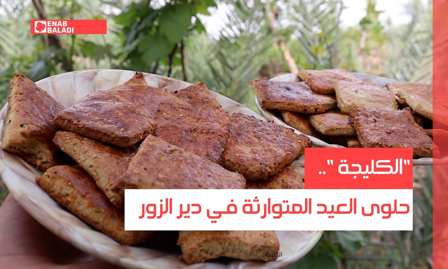 "الكليجة".. حلوى العيد المتوارثة في #دير_الزور