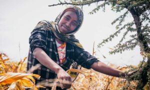 سيدة تعمل في أرض	 زراعية بعد إعادة تأهيلها في أفريقيا- 5 من حزيران 2024 (الأمم المتحدة)