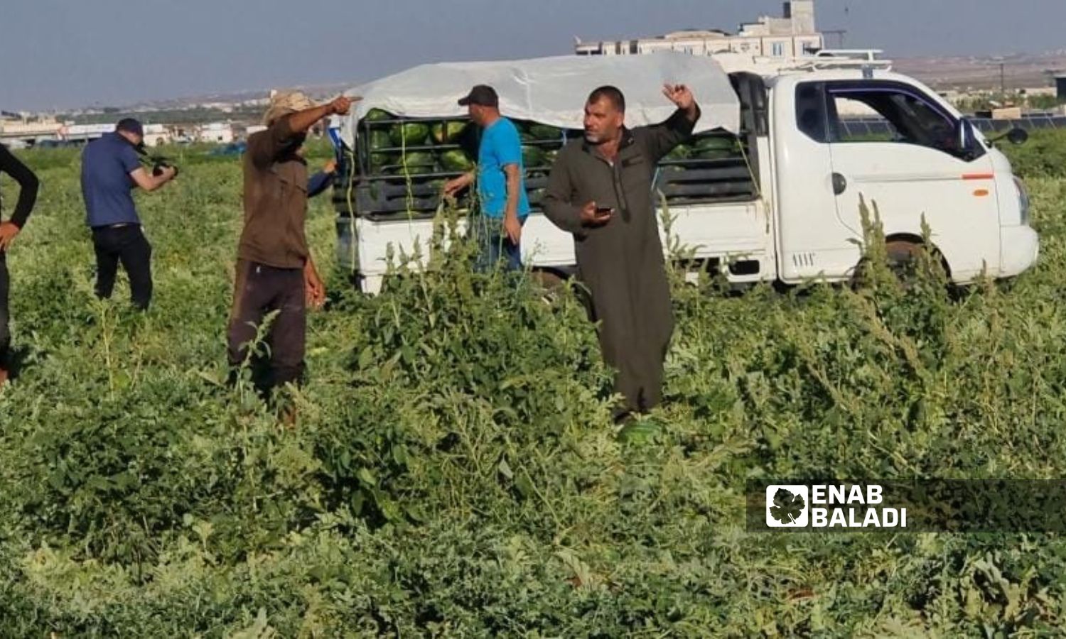الإقبال منخفض على شراء البطيخ في مدينة إدلب - 2 من حزيران 2024 (عنب بلدي/ أنس الخولي)