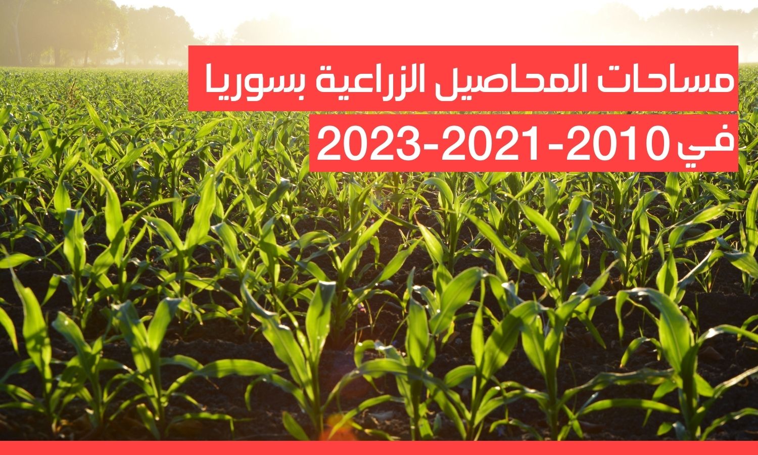 مساحات المحاصيل الزراعية في 2023- 2021- 2010