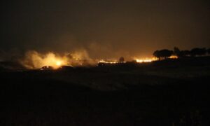 إحدى الحرائق التي اندلعت في ولاية ماردين التركية- 21 من حزيران 2024 (الأناضول)