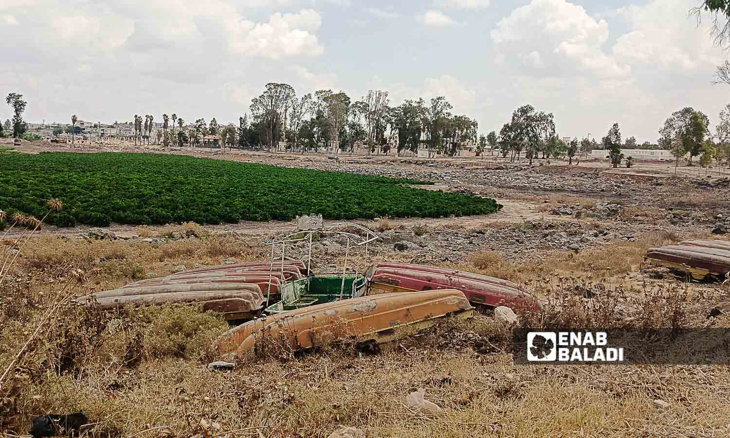 بحيرة المزيريب في ريف درعا الغربي تحولت لأرض زراعية - 14 تموز 2024 (عنب بلدي /حليم محمد)