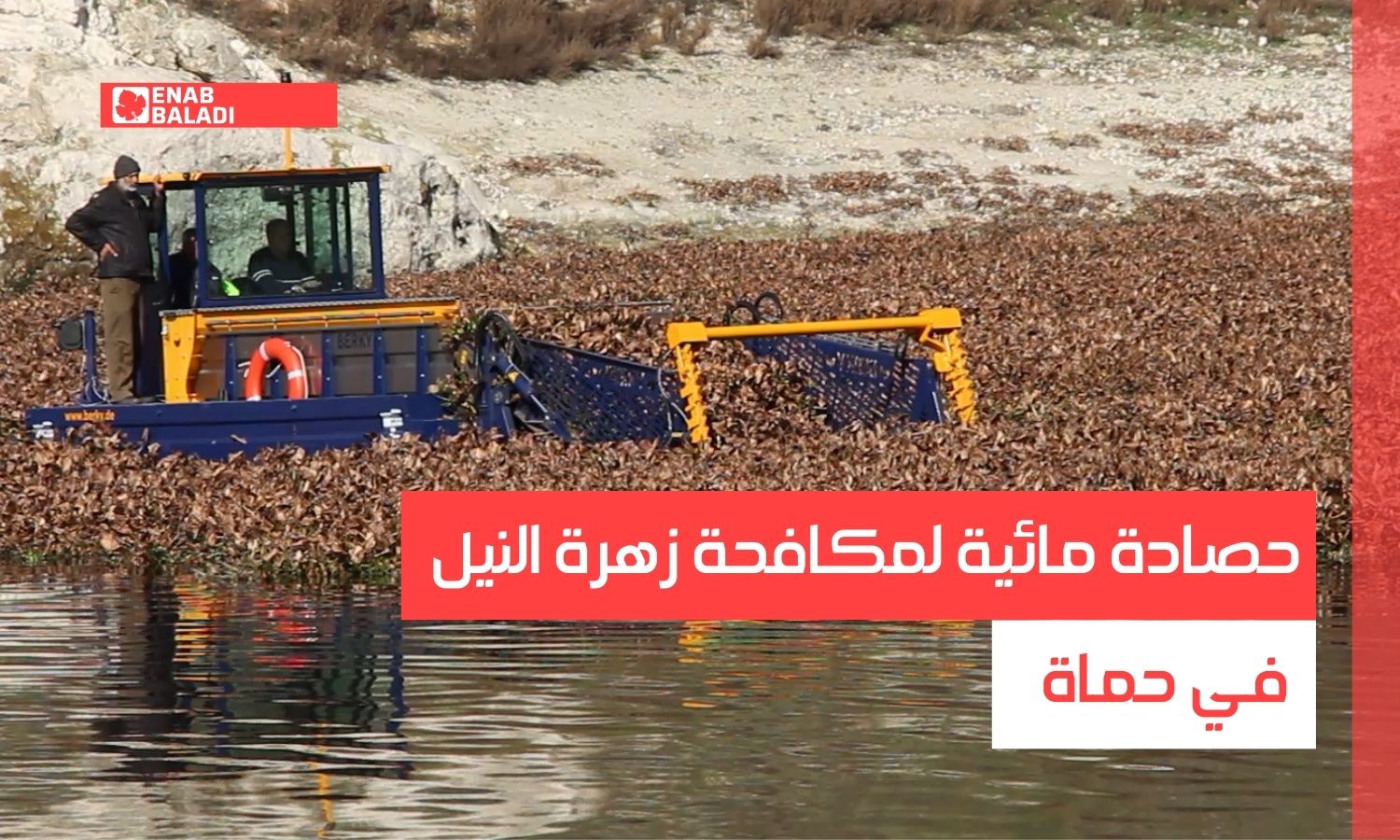 حصادة مائية لمكافحة زهرة النيل في حماة