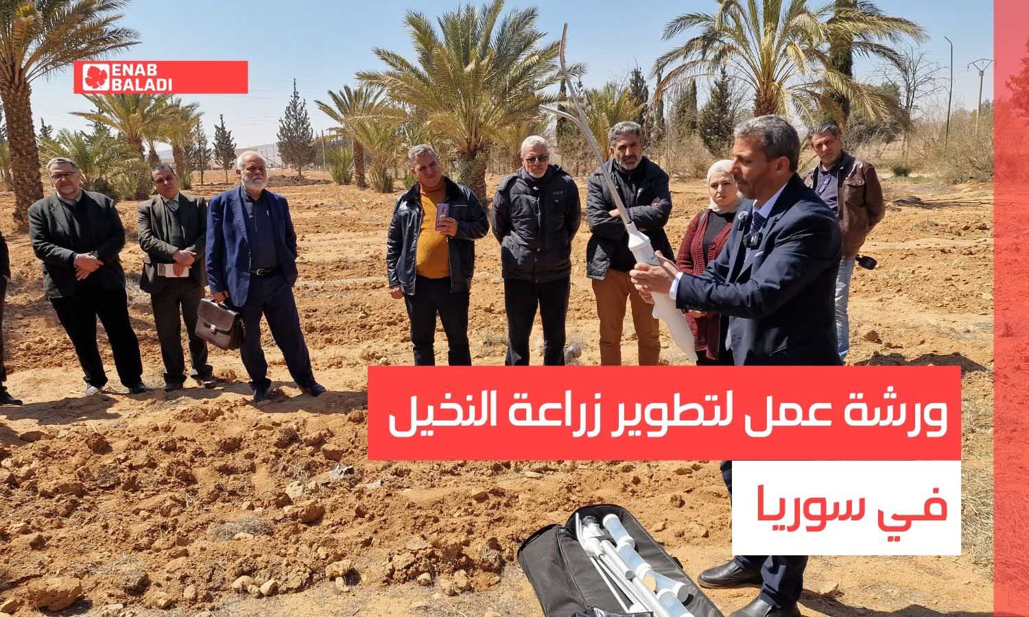 ورشة عمل لتطوير زراعة النخيل في سوريا