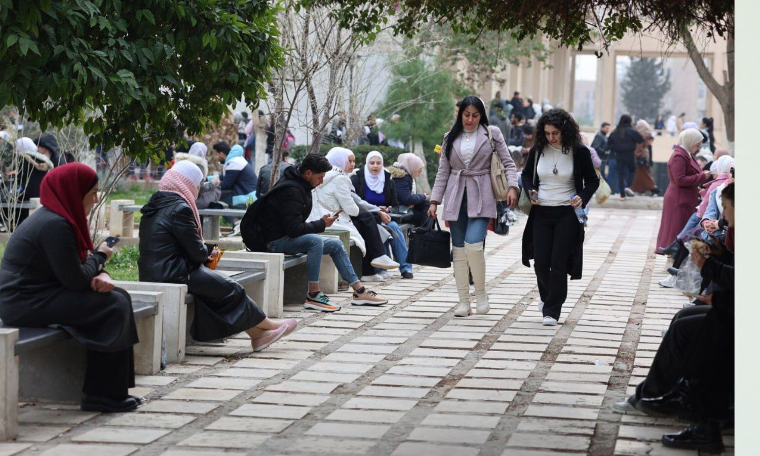 كلية الآداب جامعة دمشق 3 شباط 2025 (جامعة دمشق/تلجرام)