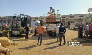 سوق الهال في مدينة طفس في ريف درعا الغربي - 11 أيار 2025 (عنب بلدي / محجوب الحشيش)