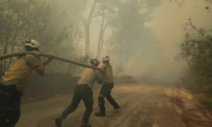 فرق الإطفاء في الدفاع المدني تواصل إخماد الحرائق في غابات جبل التركمان في ريف اللاذقية_ في 10 من أيار 2025 (الدفاع المدني السوري/ الفيس بوك)