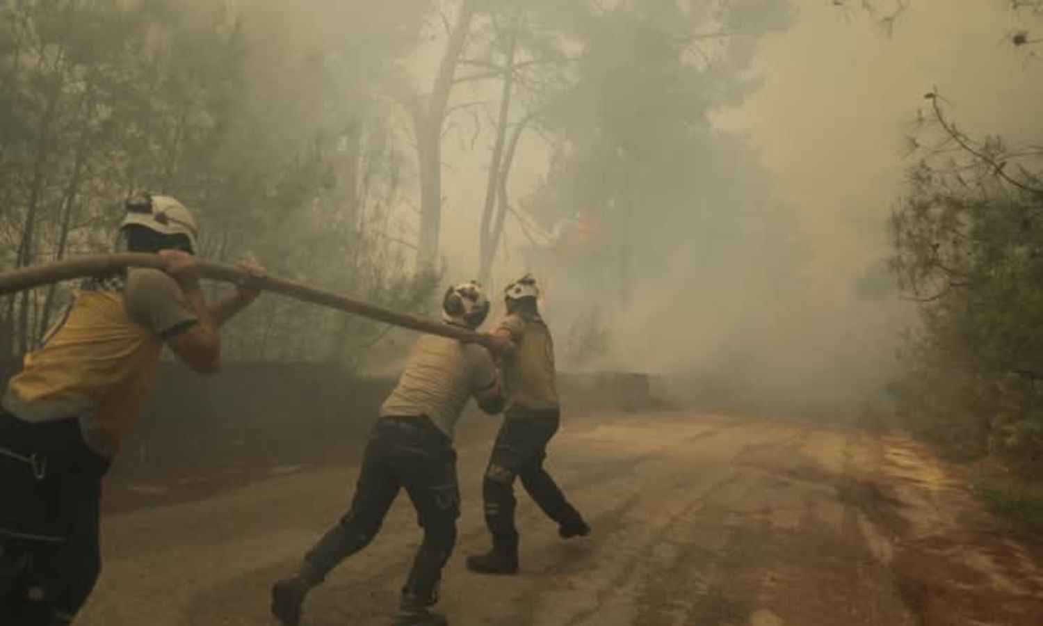 فرق الإطفاء في الدفاع المدني تواصل إخماد الحرائق في غابات جبل التركمان في ريف اللاذقية_ في 10 من أيار 2025 (الدفاع المدني السوري/ الفيس بوك)