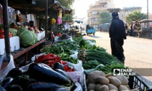 يبيع عشرات الأشخاص من سكان مدينتي رأس العين وتل أبيض الخضراوات والفواكه على الأرصفة - 7 أيار 2025 (عنب بلدي)
