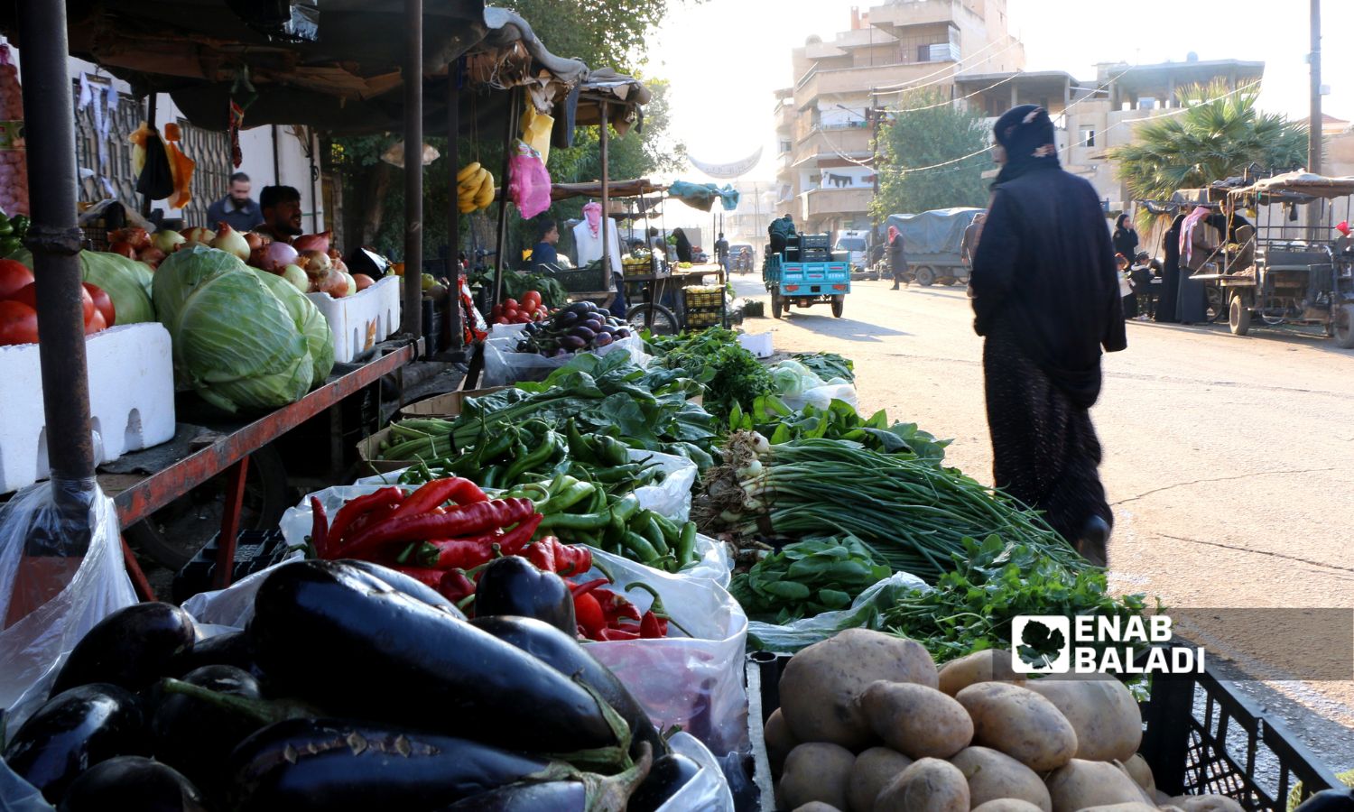 يبيع عشرات الأشخاص من سكان مدينتي رأس العين وتل أبيض الخضراوات والفواكه على الأرصفة - 7 أيار 2025 (عنب بلدي)