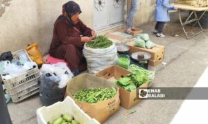 خضروات قابلة للتخزين(مونة) في سوق الطبالة بدمشق-11 من أيار 2025(عنب بلدي/كريستينا الشماس)