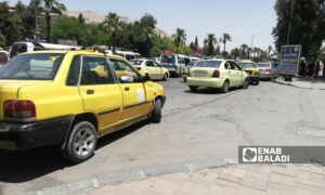 سيارات التكاسي العمومية تصطف أمام كلية الآداب في منطقة المزة بدمشق- 3 حزيران 2025(عنب بلدي/كريستينا الشماس)
