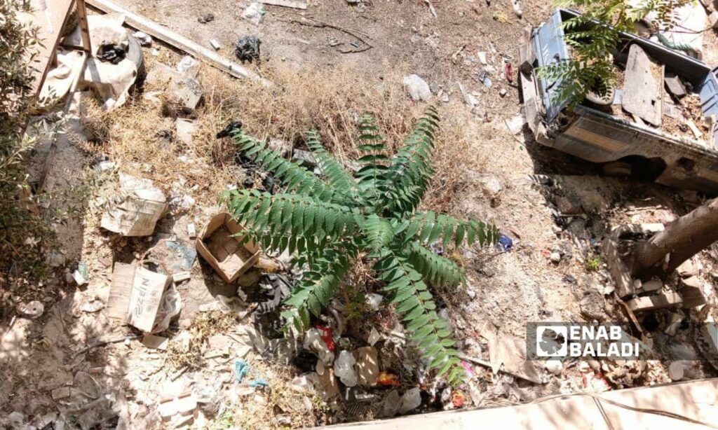 نفايات متراكمة في ساحة فرن "الذرة" بحس الميدان بحلب - أيار 2025 (عنب بلدي)