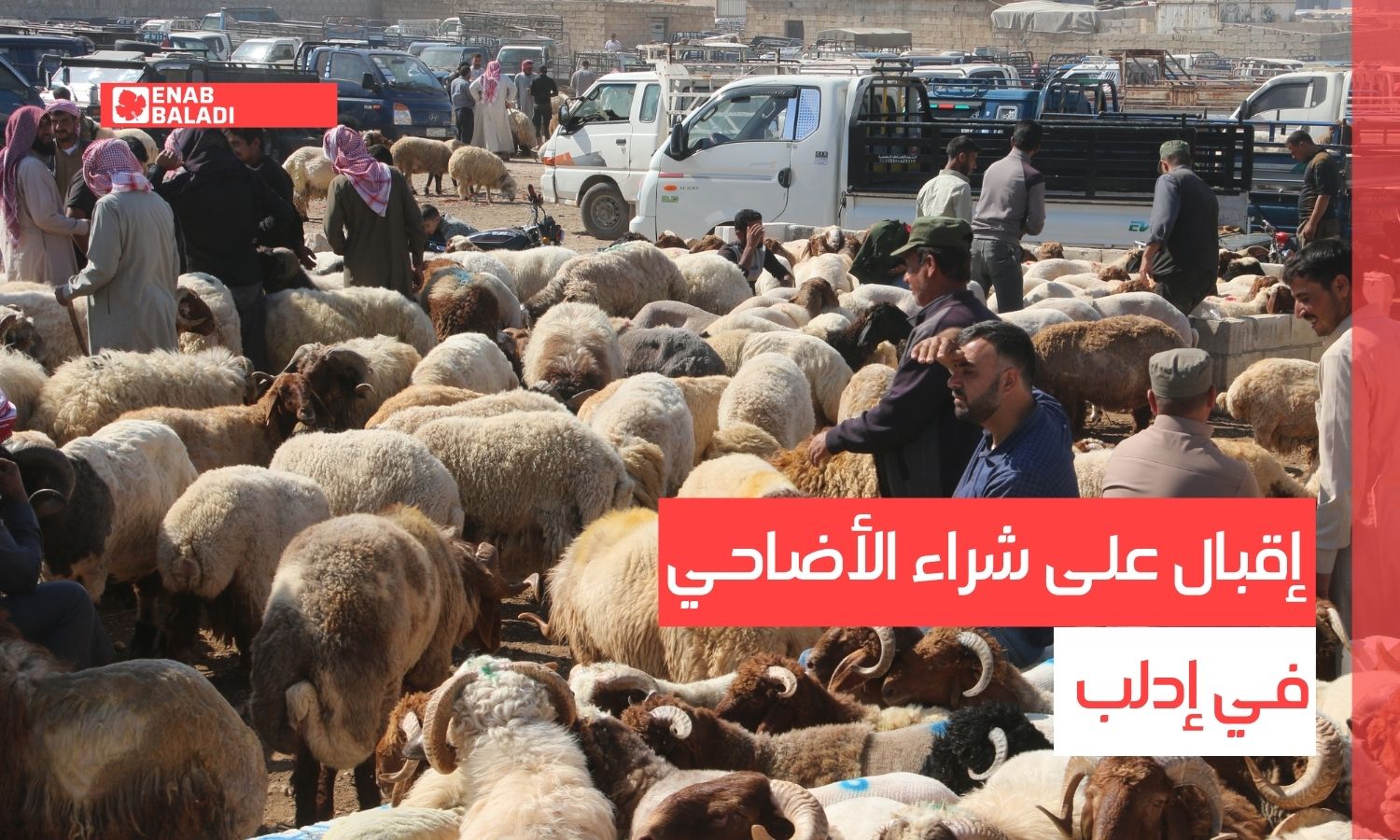 تجار يشتكون من خسائر في موسم الأضاحي بحماة
