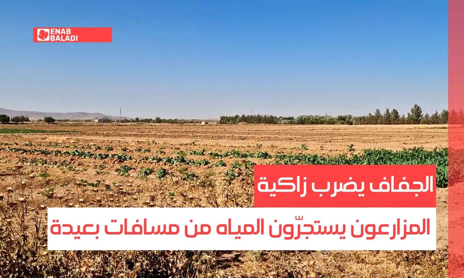 الجفاف يضرب زاكية بريف دمشق.. المزارعون يستجرّون المياه من مسافات بعيدة