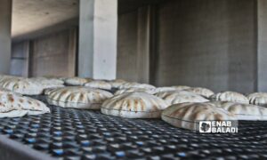 يشتكي سكان مدينة تل أبيض شمالي محافظة الرقة من رداءة جودة الخبز - 11 حزيران 2025 (عنب بلدي)
