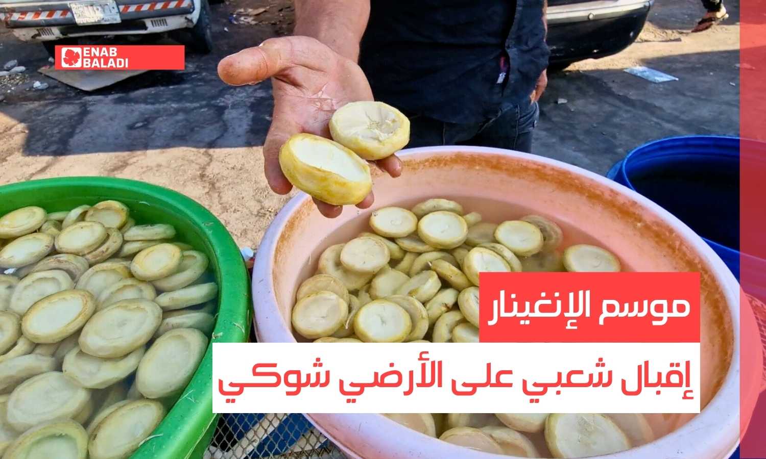 موسم الإنغينار.. إقبال شعبي على الأرضي شوكي