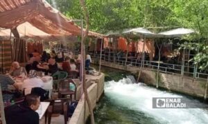 منتزه جنة العين في منطقة التكية بالزبداني في ريف دمشق- 17 تموز 2025(عنب بلدي/سندريلا البلعة)

