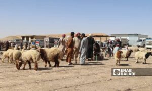 سوق الاغنام بمدينة الميادين بريف دير الزور الشرقي - 5 تموز 2025 (عنب بلدي/ عبادة الشيخ)
