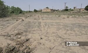 ارض زراعية قاحلة  في مدينة موحسن بريف دير الزور الشرقي - 2 تموز 2025 (عنب بلدي/ عبادة الشيخ)
