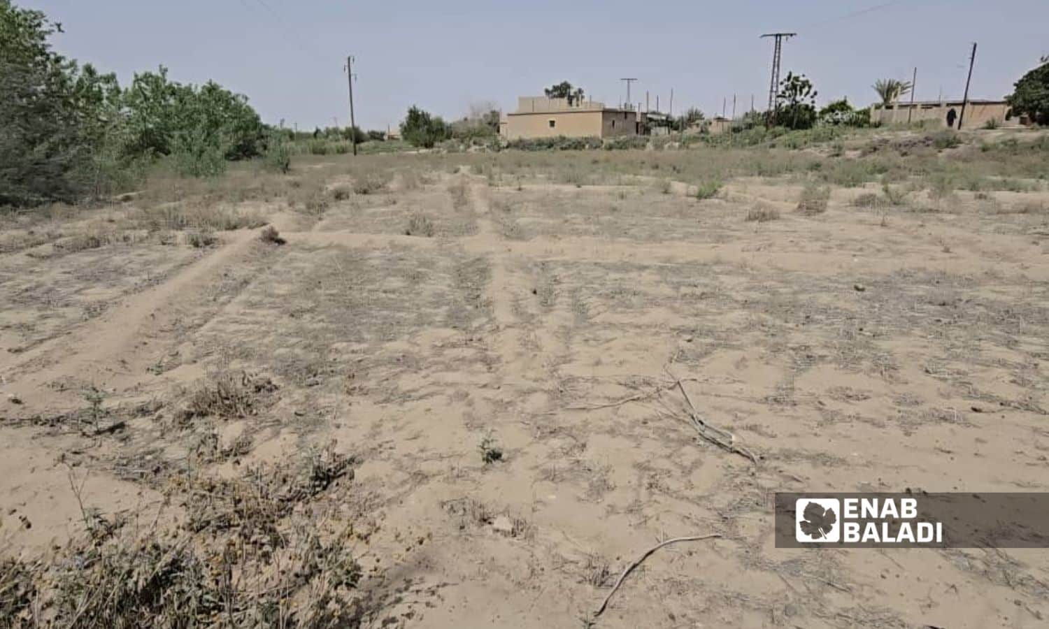 ارض زراعية قاحلة في مدينة موحسن بريف دير الزور الشرقي - 2 تموز 2025 (عنب بلدي/ عبادة الشيخ)