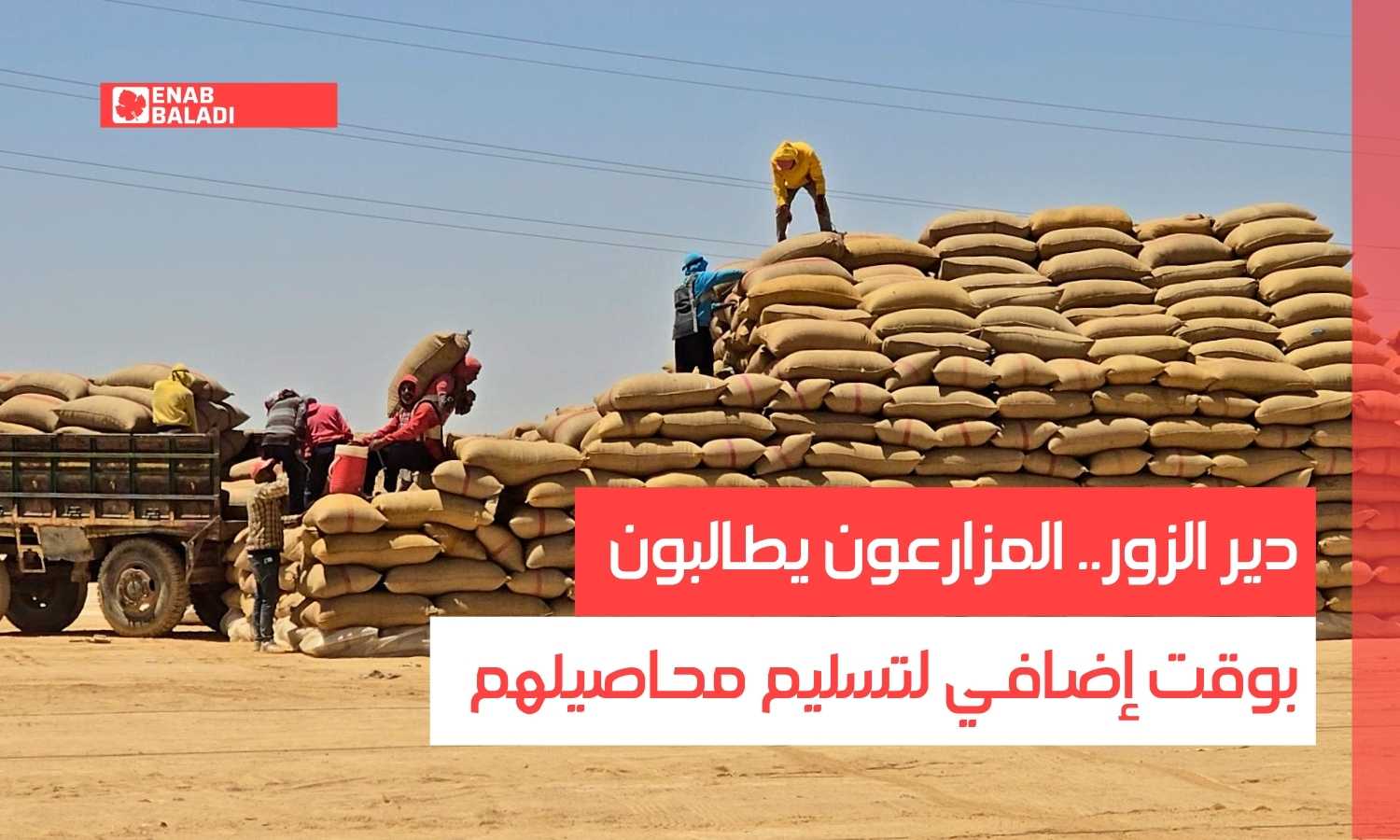 دير الزور.. المزارعون يطالبون بوقت إضافي لتسليم محاصيلهم