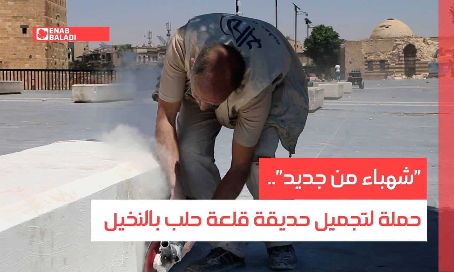 "شهباء من جديد".. حملة لتجميل حديقة قلعة حلب بالنخيل