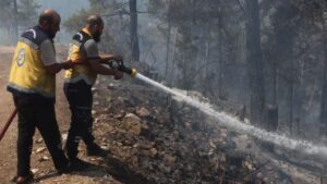فرق الإطفاء في الدفاع المدني وفوج الإطفاء الحراجي يطفئ الحرائق في أحراج قرية عين التينة - 12 آب 2025 (الدفاع المدني السوري / تيلجرام ) 